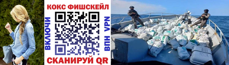 Кокаин FishScale  купить наркотик  Партизанск 