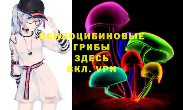 марки lsd Абаза