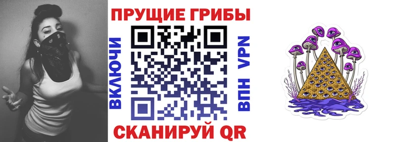 где продают   Партизанск  Галлюциногенные грибы MAGIC MUSHROOMS 