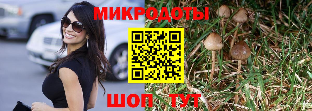 Галлюциногенные грибы Cubensis  Вход с VPN  Партизанск  Псилоцибиновые грибы Cubensis 